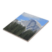 Carreau Demi-Dôme, Carrelage du parc national de Yosemite (Côté)