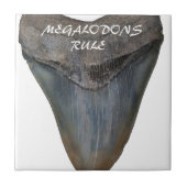 Carreau Dent de requin de Megalodon (Devant)