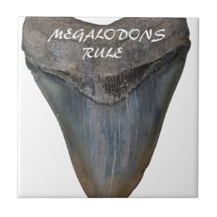Carreau Dent de requin de Megalodon