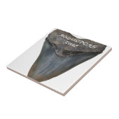 Carreau Dent de requin de Megalodon (Côté)