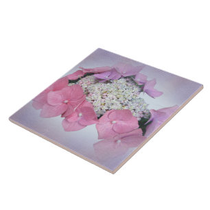 Carreau Dentelles rose et violet Casquette Hydrangea Fleur
