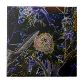 CARREAU DÉPANNAGE (Devant)