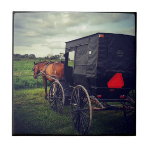 Carreau Dernière nuit dans une communauté Amish, Cheval Am