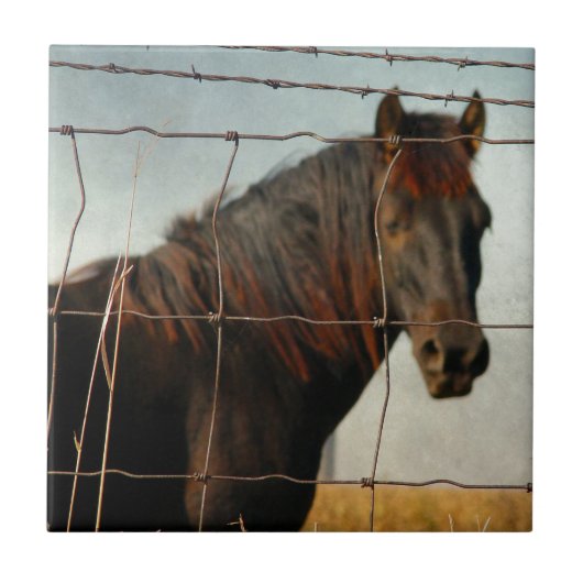 Carreau Derrière la clôture, cheval abstrait (Devant)