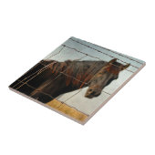 Carreau Derrière la clôture, cheval abstrait (Côté)