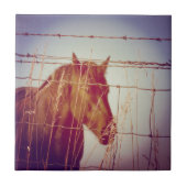 Carreau Derrière la clôture Cheval Abstrait (Devant)