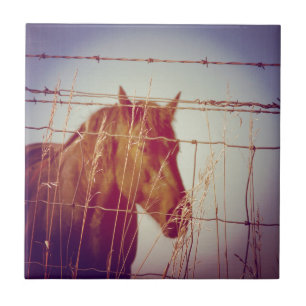 Carreau Derrière la clôture Cheval Abstrait