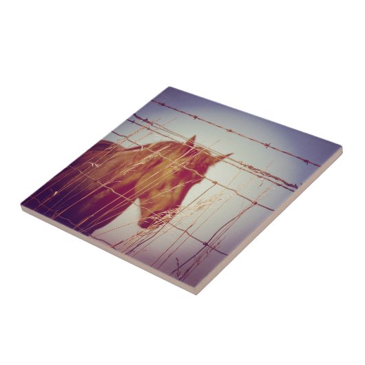 Carreau Derrière la clôture Cheval Abstrait (Côté)