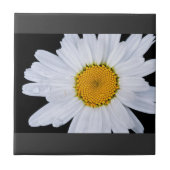 Carreau des (Devant)