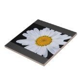 Carreau des (Côté)