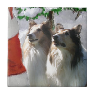 Carreau Des collies rugueuses rencontrent Noël Père Noël