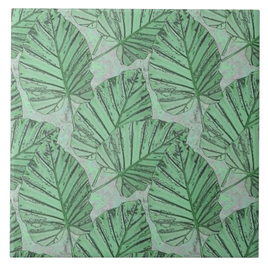 Carreau Des feuilles verts sur une pierre grise. (Devant)