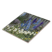 Carreau Des fleurs printanières le long d'un chemin de jar (Côté)