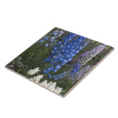 Carreau Des fleurs printanières le long d'un chemin de jar (Côté)