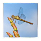 Carreau des kilomètres derrière moi (Devant)