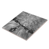 Carreau Descente d'une section d'amélioration du singletra (Côté)