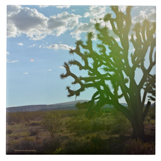 Carreau Desert beauty (Devant)