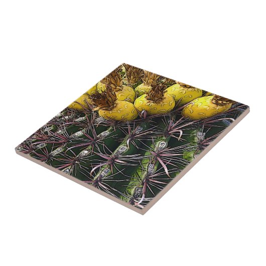 Carreau Désert Sud-Ouest Cactus Jaune Vert (Côté)