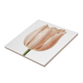 Carreau Design d'art botanique de la Tulipe de Pêche douce (Côté)