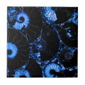 Carreau Design de coquille bleu Nautilus (Devant)