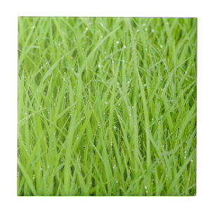 Carreau Design d'herbe verte