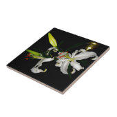 Carreau Design irlandais - La collection Flower (Côté)