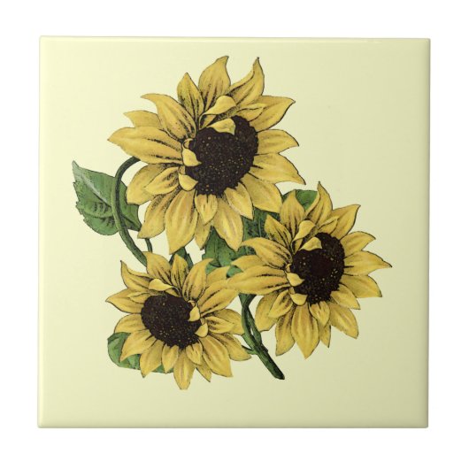 Carreau Design vintage de tournesol (Devant)