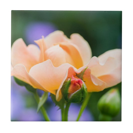 Carreau désir (Devant)