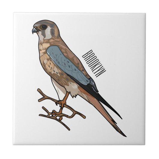 Carreau dessin animé d'oiseau-kestrel américain (Devant)