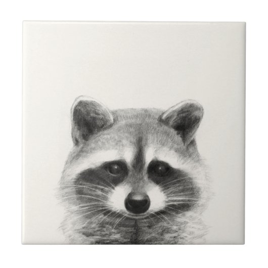 Carreau Dessin au crayon de Raccoon (Devant)