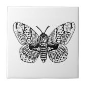 Carreau Dessin Brahmin moth (Devant)