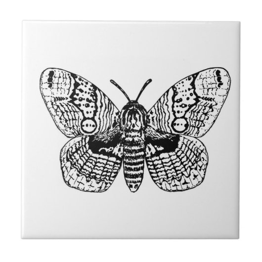 Carreau Dessin Brahmin moth (Devant)