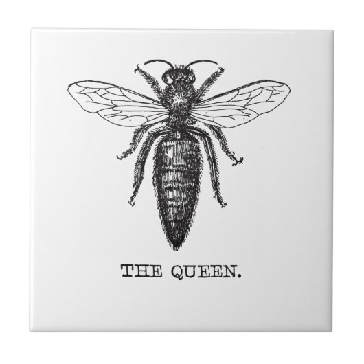 Carreau Dessin classique de l'illustration de Queen Bee (Devant)
