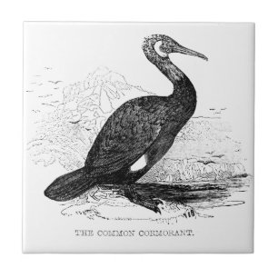Carreau Dessin de faune d'oiseau vintage Cormoran