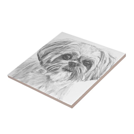Carreau Dessin de Shih Tzu (Côté)