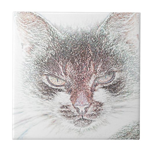 Carreau Dessin de visage de chat en colère mignon (Devant)
