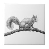 Carreau Dessin d'écureuil (Devant)