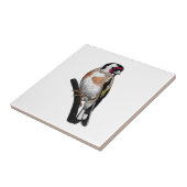 Carreau Dessin Goldfinch (Côté)