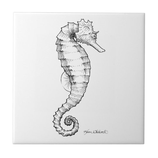 Carreau Dessin Noir Et Blanc D Hippocampe Zazzle Be