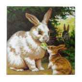 Carreau Dessin vintage : Petits lapins (Devant)