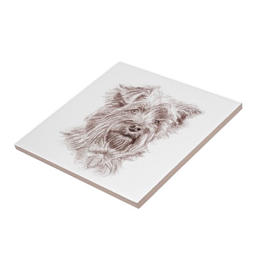 Carreau Dessin Yorkshire Terrier (Côté)