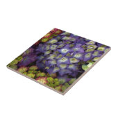 Carreau Dessous de verre en céramique, Hydrangea du jardin (Côté)