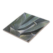 Carreau Détail fané de Succulant, 2017 (Côté)