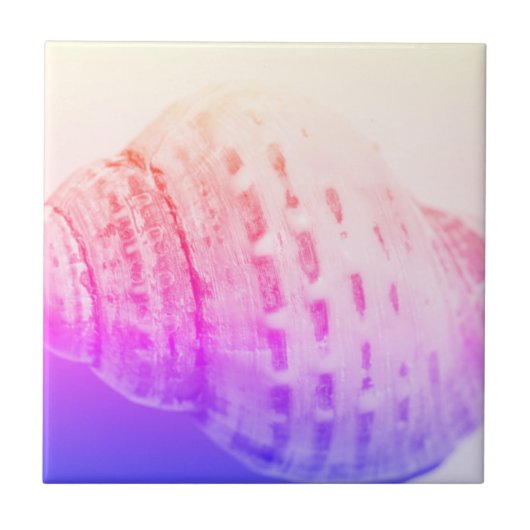 Carreau Détails de la structure de texture Sea Ocean Shell (Devant)