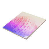 Carreau Détails de la structure de texture Sea Ocean Shell (Côté)