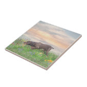 Carreau Deutsch Drahthaar (Côté)