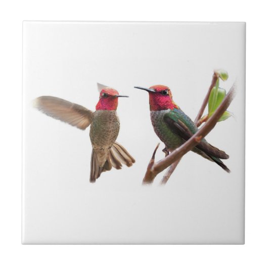 CARREAU DEUX BIJOUX VOLANTS (Devant)