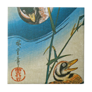 Carreau Deux Canards Nageant Parmi Les Rèseaux