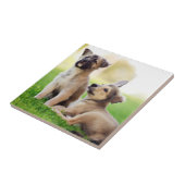 Carreau Deux chiots bergers allemands (Côté)