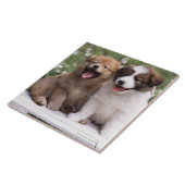 Carreau Deux chiots se reposant ensemble (Côté)